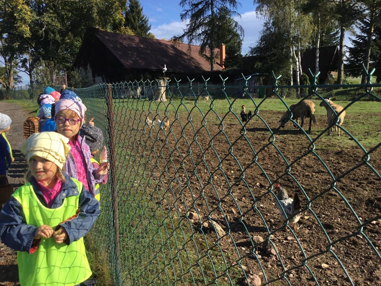 "Kam chodí broučci spát" - 23