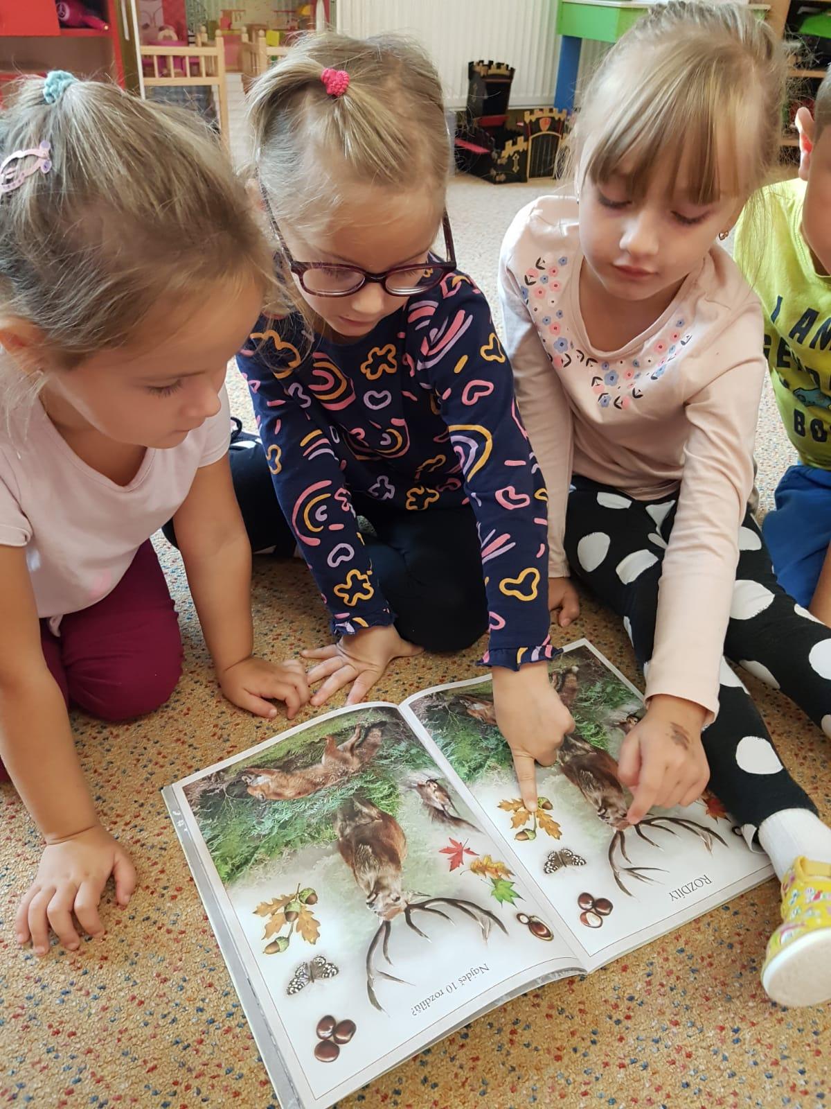 SOVIČKY: LES NÁS BAVÍ - 23