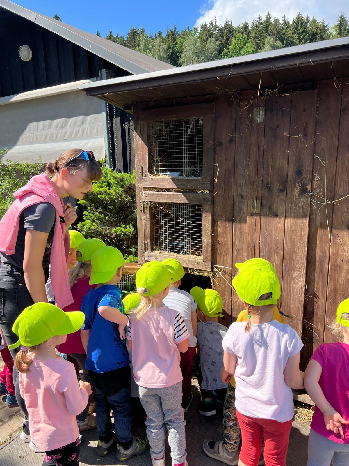 VÝLET NA BABIČČIN STATEK - 38