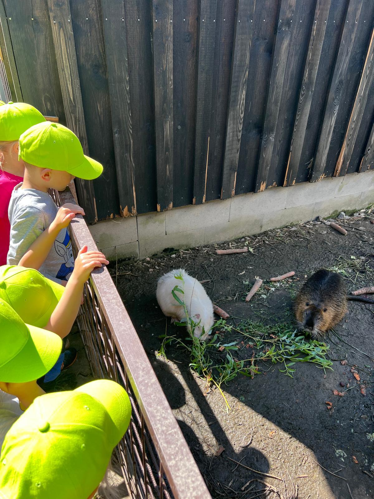 VÝLET NA BABIČČIN STATEK - 39