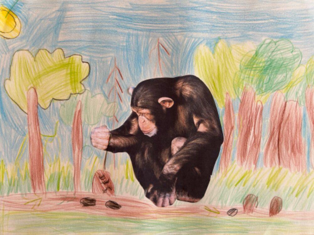 SOVIČKY: ROZVOJ ČTENÁŘSKÉ GRAMOTNOSTI V MŠ - ZVÍŘATA - 26