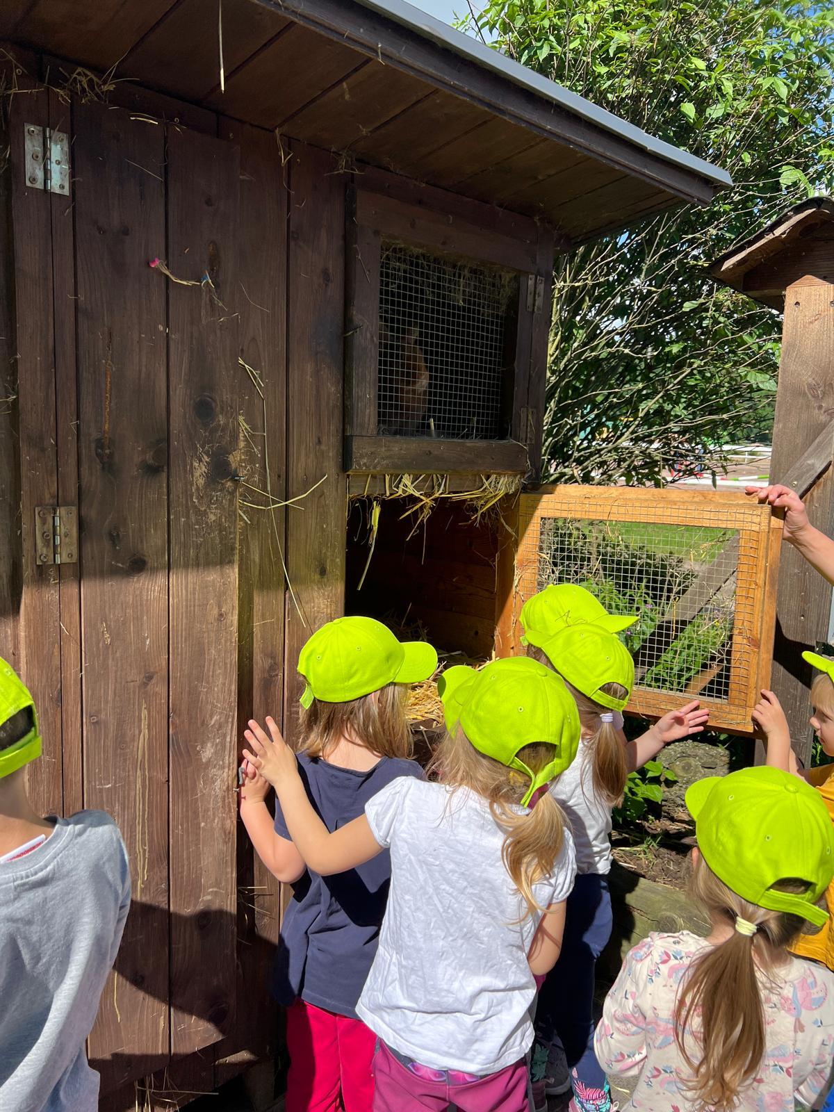 VÝLET NA BABIČČIN STATEK - 40