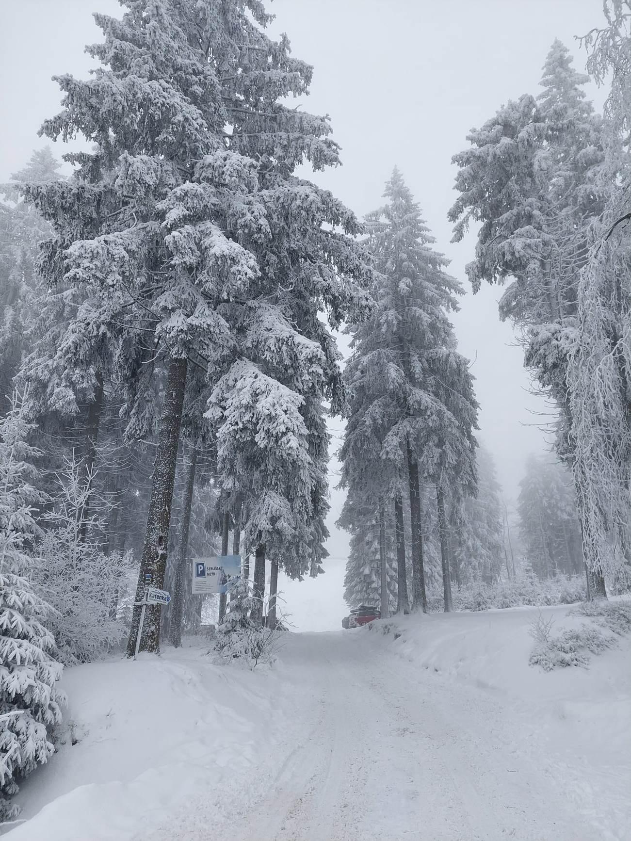 Lyžařský výcvik - Šerlišský mlýn, den 1. - 7