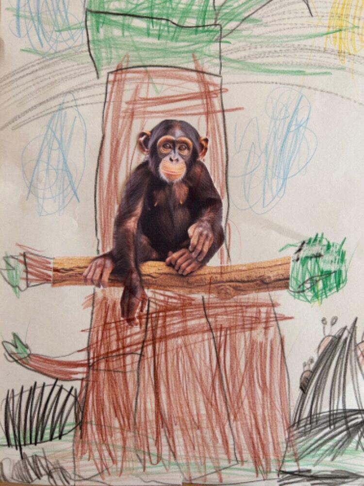 SOVIČKY: ROZVOJ ČTENÁŘSKÉ GRAMOTNOSTI V MŠ - ZVÍŘATA - 28