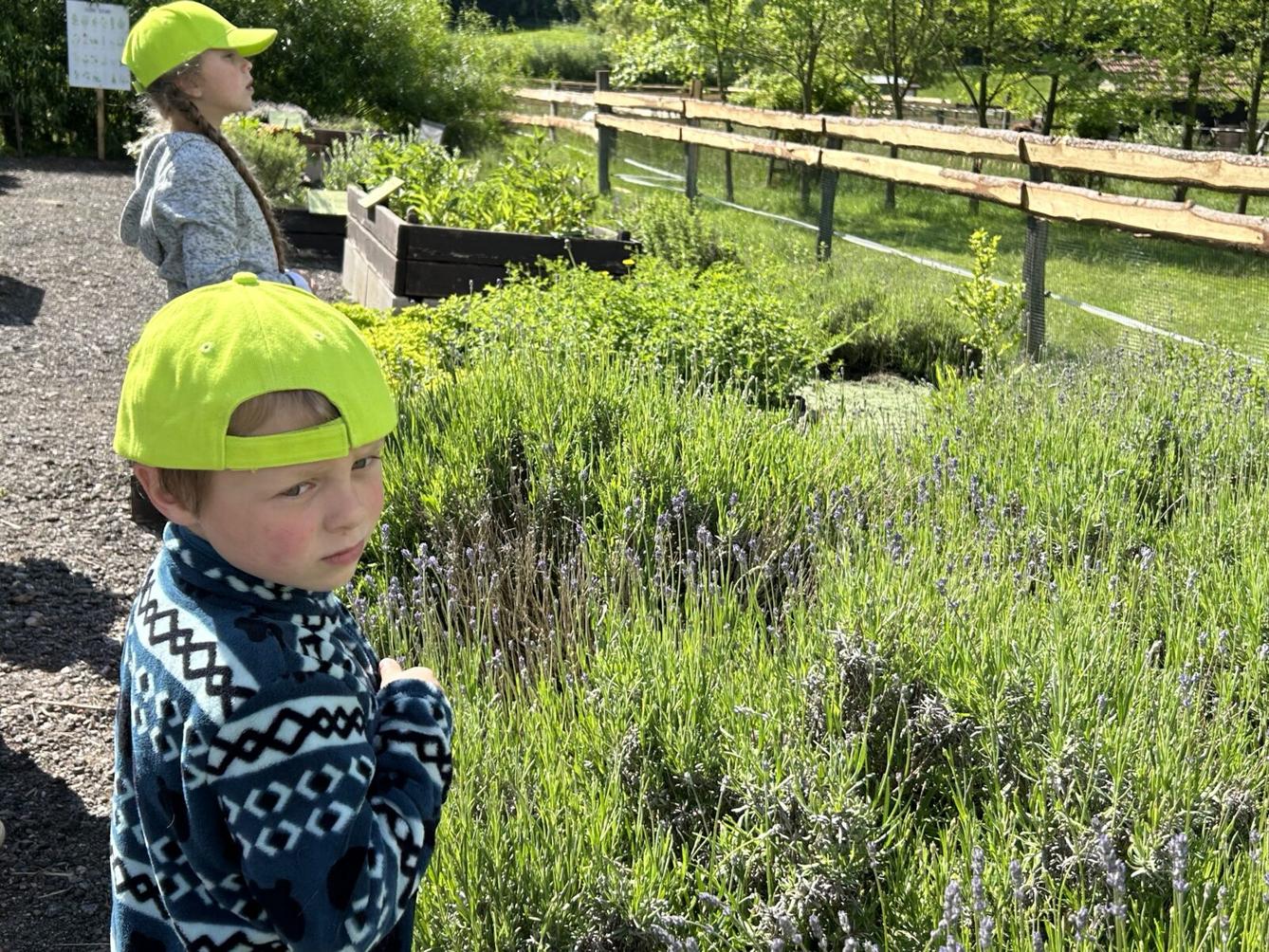 VÝLET NA BABIČČIN STATEK - 42