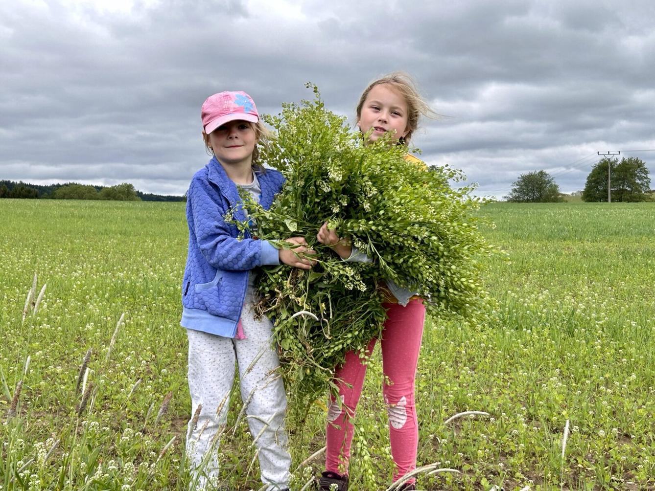 SOVIČKY: ,,JARNÍ LOUKA" - 31