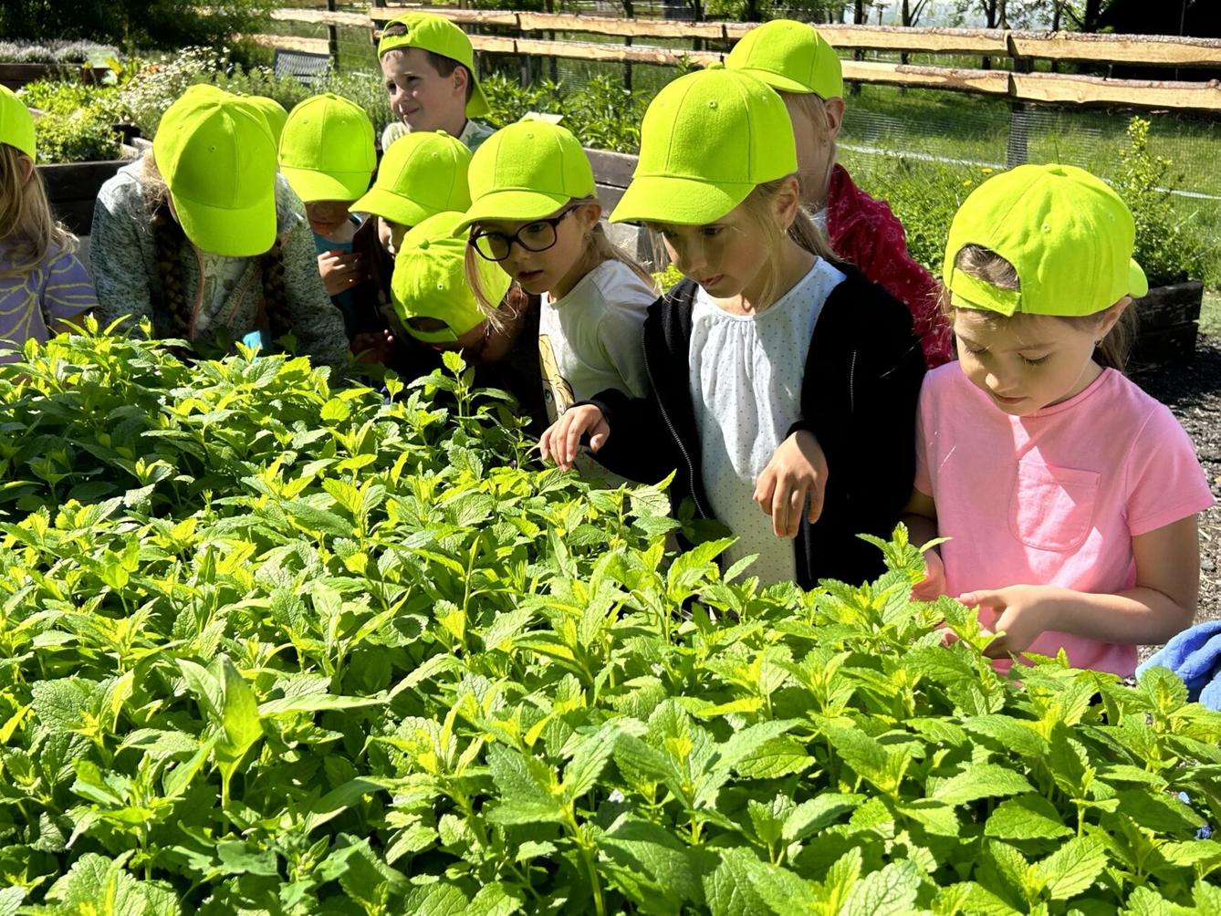 VÝLET NA BABIČČIN STATEK - 43