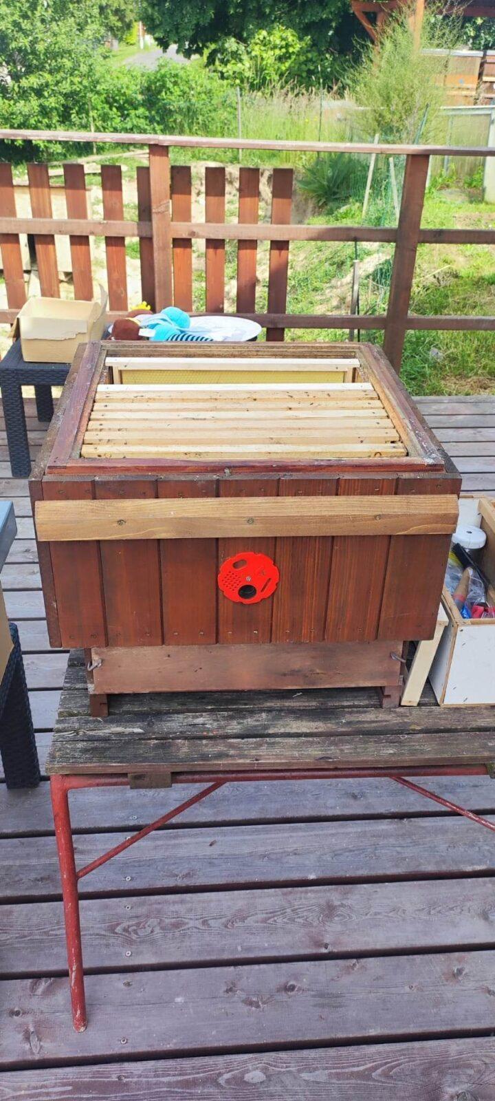 Návštěva prvňáků u včelaře - 13