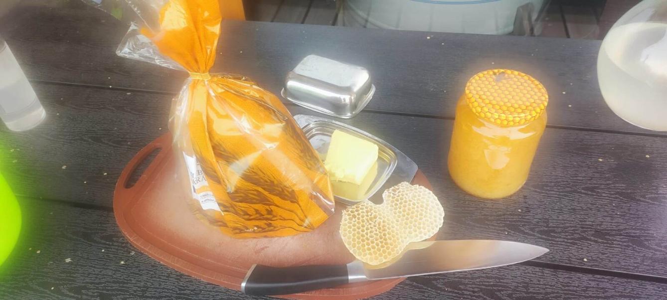 Návštěva prvňáků u včelaře - 18