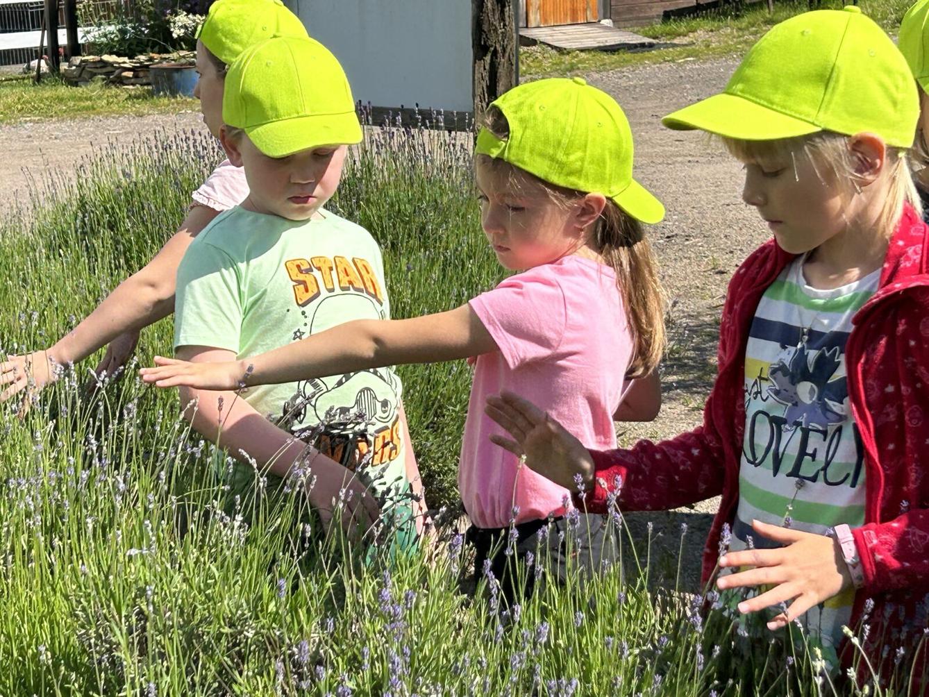 VÝLET NA BABIČČIN STATEK - 44