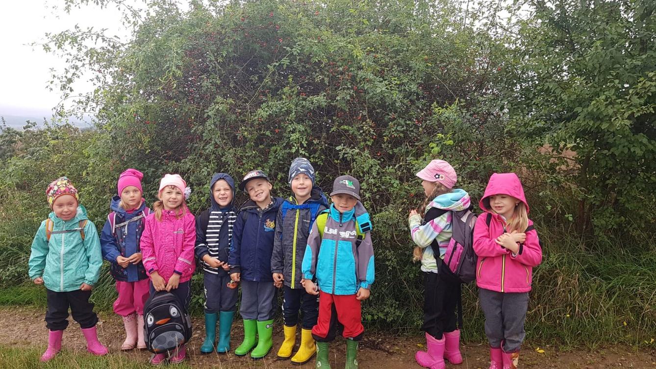 SOVIČKY: ,,VÝPRAVA DO LESA" - 23