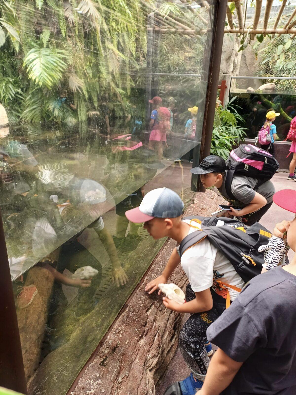 17. 6. Druháčci a třeťáčci v Safari Parku Dvůr Králové - 10