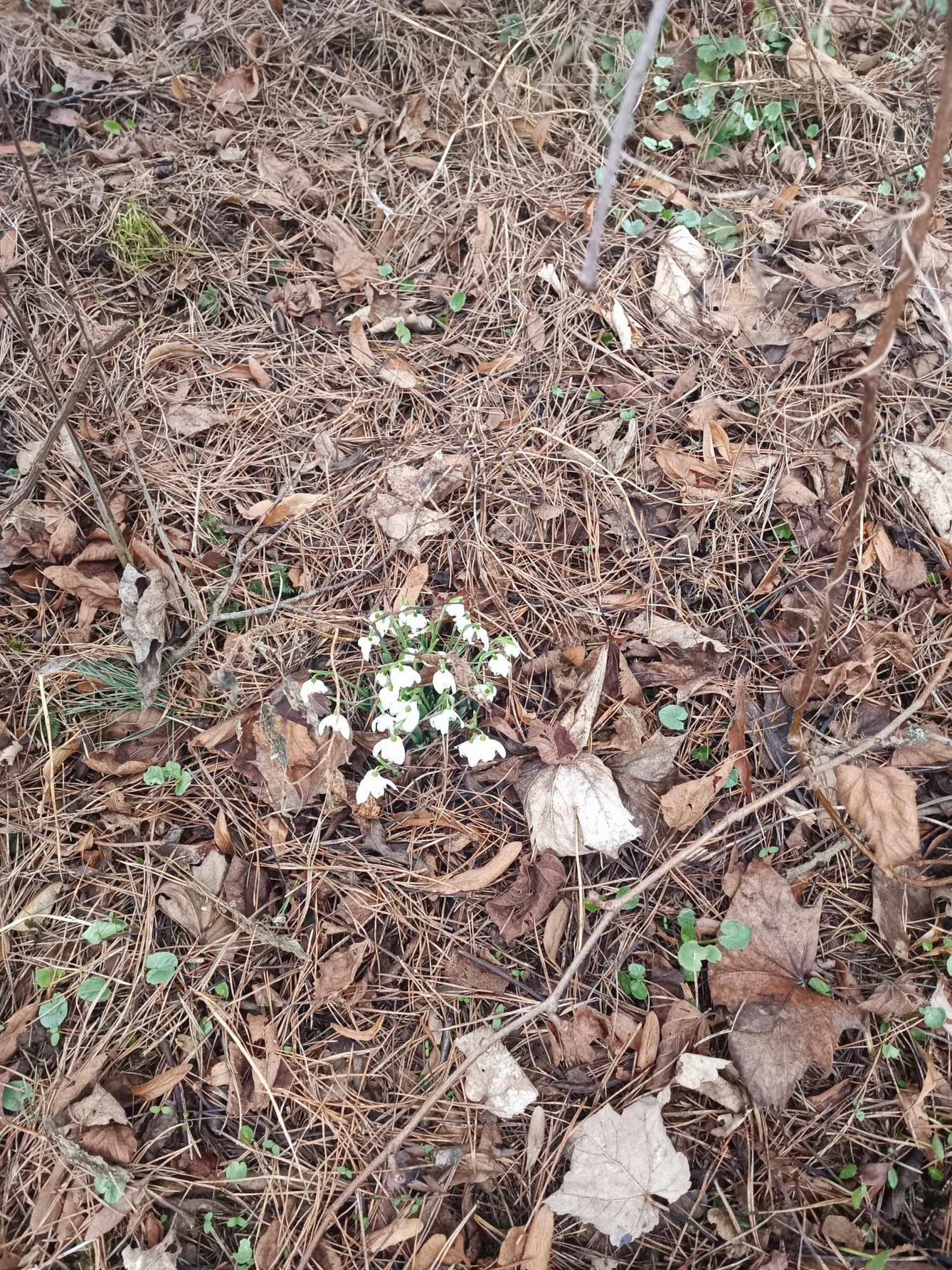 Večerníčkové odpoledne ve družince - 4