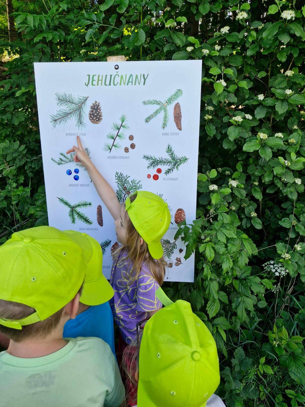 VÝLET NA BABIČČIN STATEK - 54