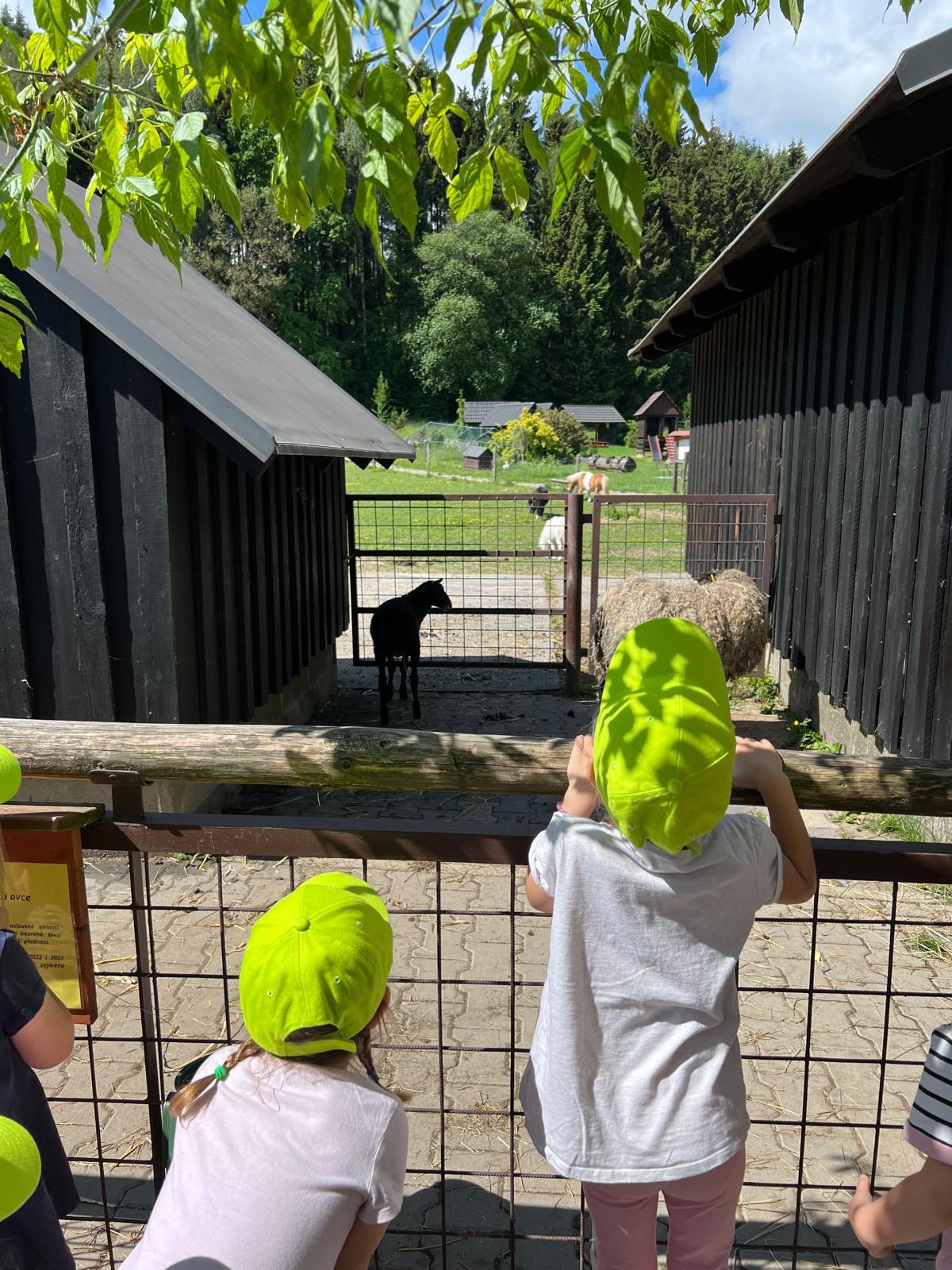 VÝLET NA BABIČČIN STATEK - 56