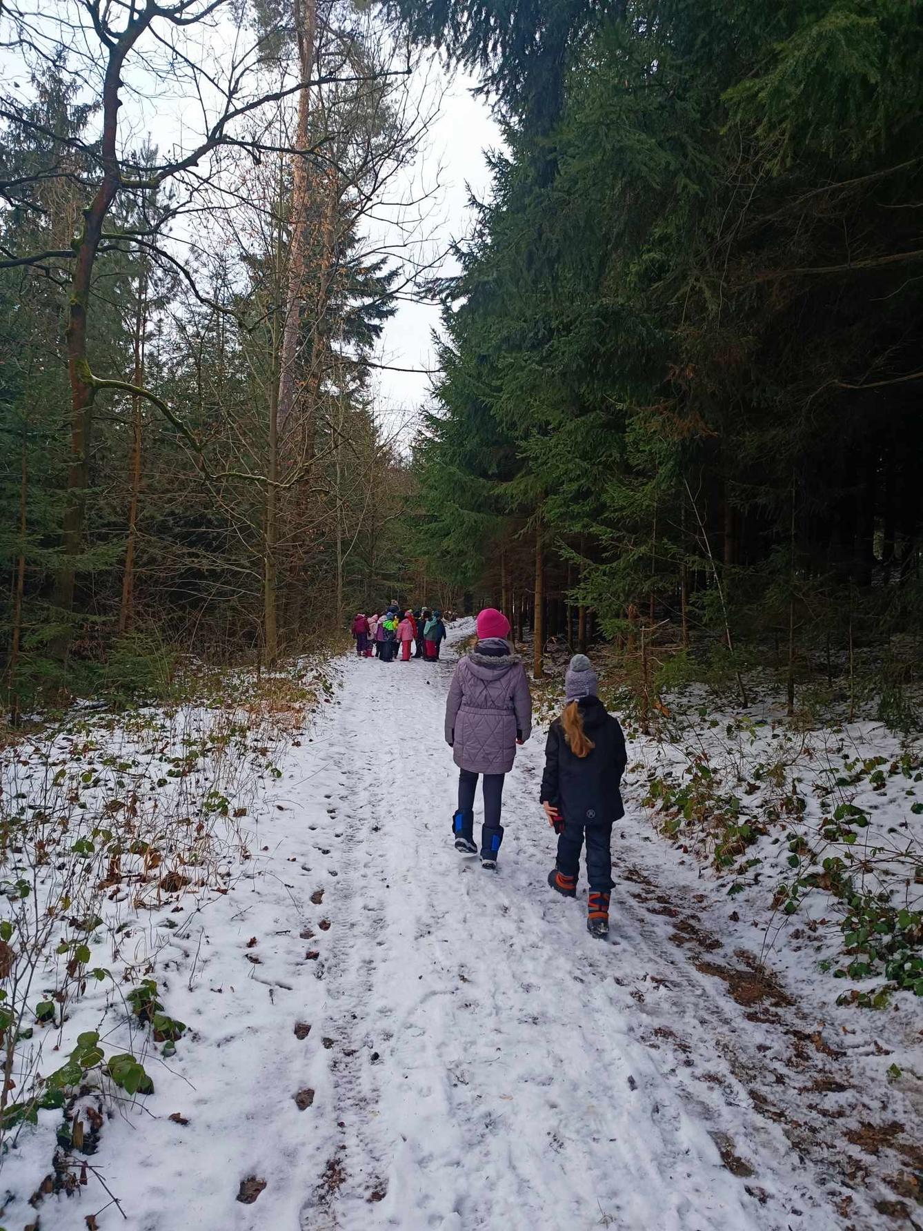 VZCHÁZKA K LESU - DRUŽINKA - 4