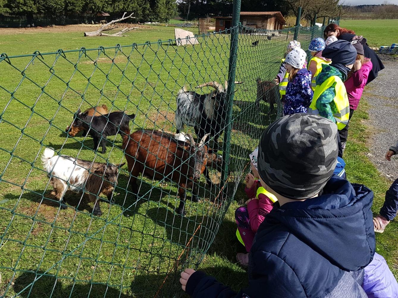 SOVIČKY: ,,VELIKONOČNÍ SVÁTKY" - 24