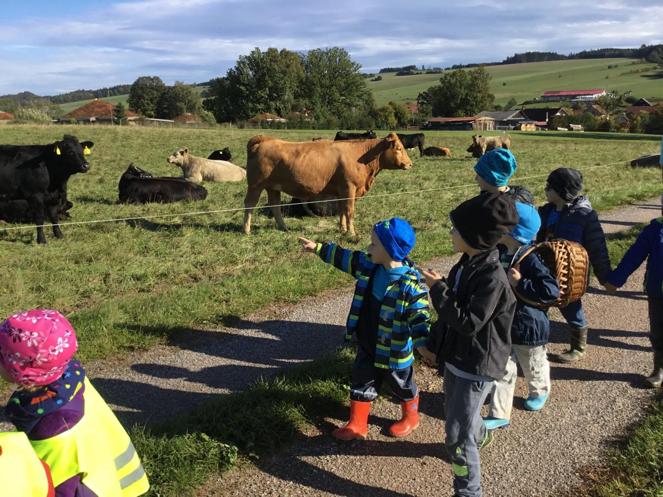 "Kam chodí broučci spát" - 44