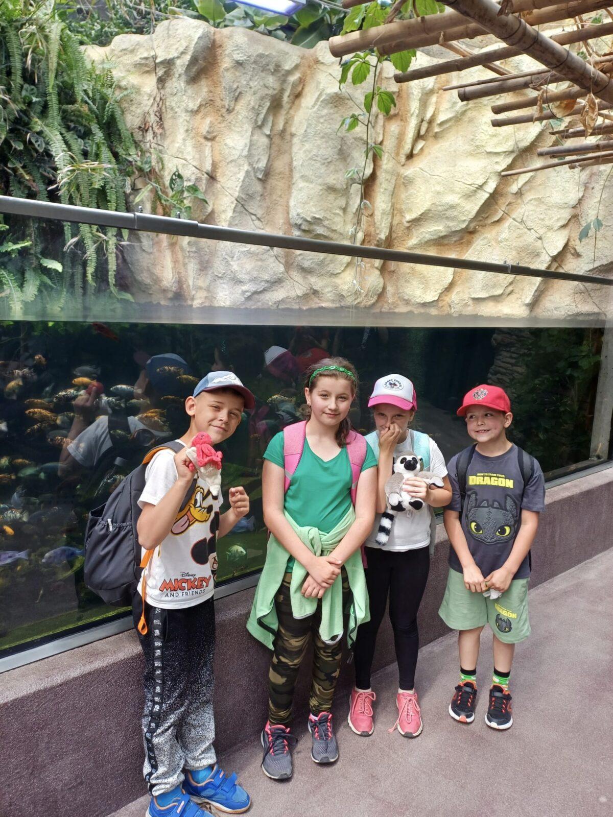 17. 6. Druháčci a třeťáčci v Safari Parku Dvůr Králové - 11