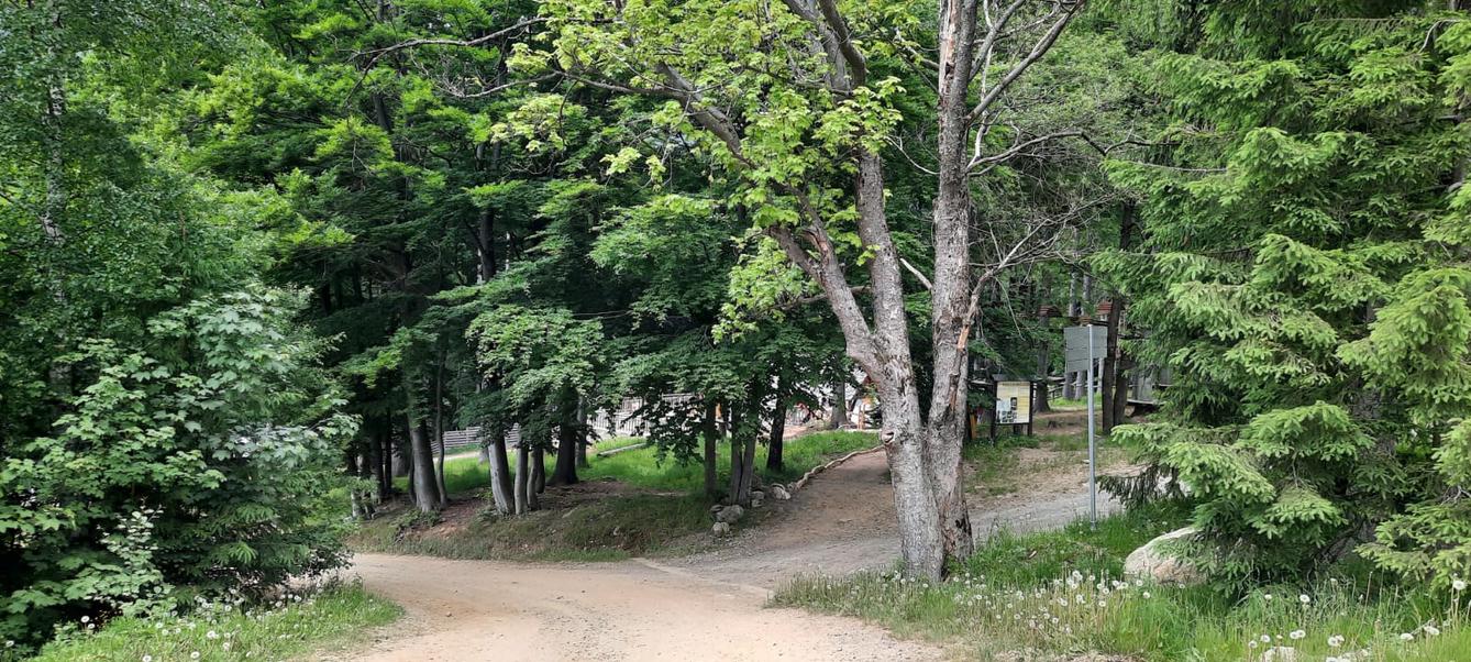 Výlet 5.A a 5.B - 38