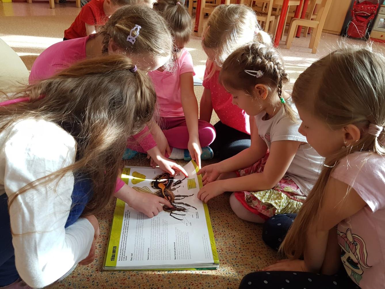 SOVIČKY: ROZVOJ ČTENÁŘSKÉ GRAMOTNOSTI V MŠ - ZVÍŘATA - 35