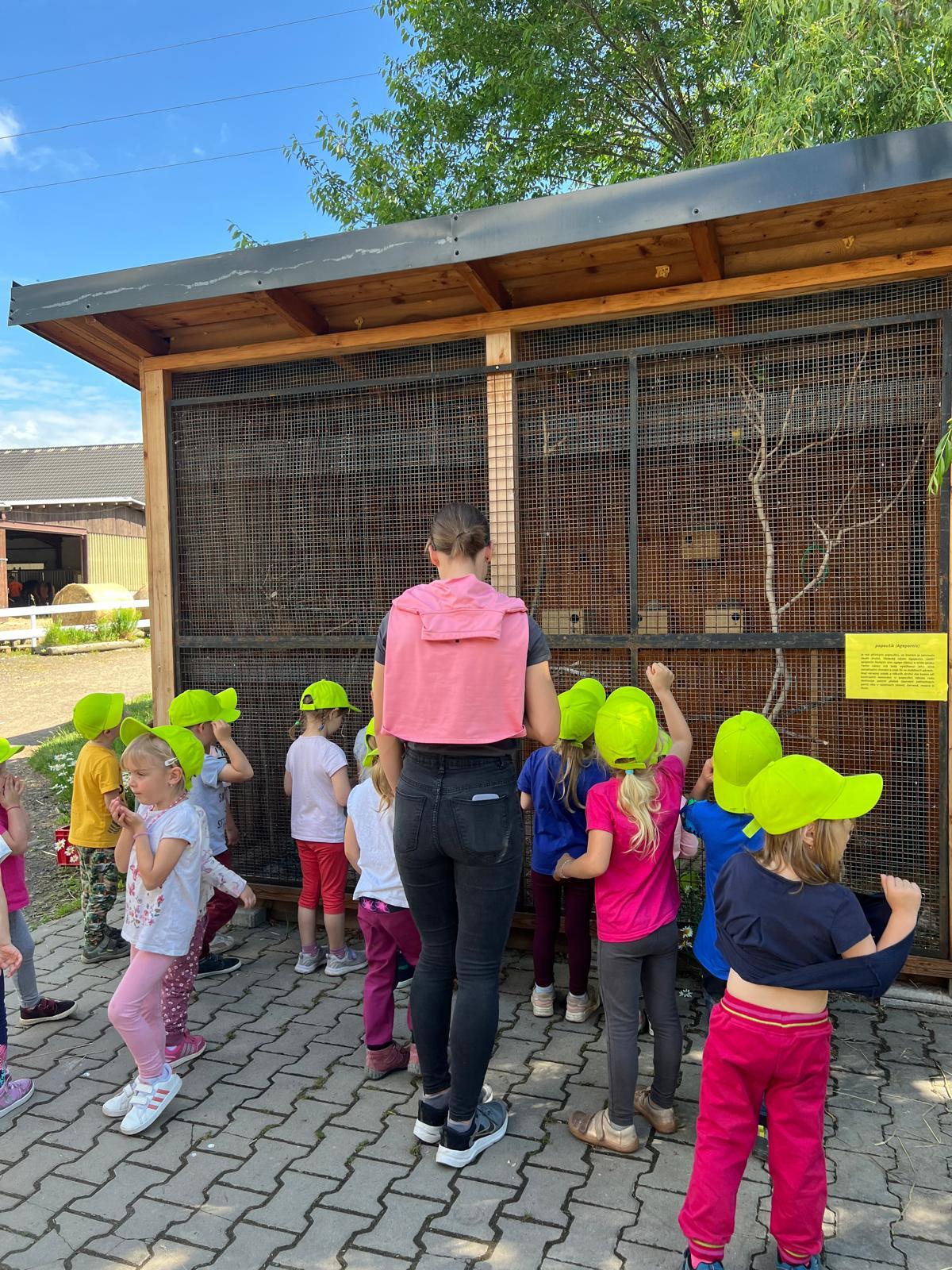 VÝLET NA BABIČČIN STATEK - 61