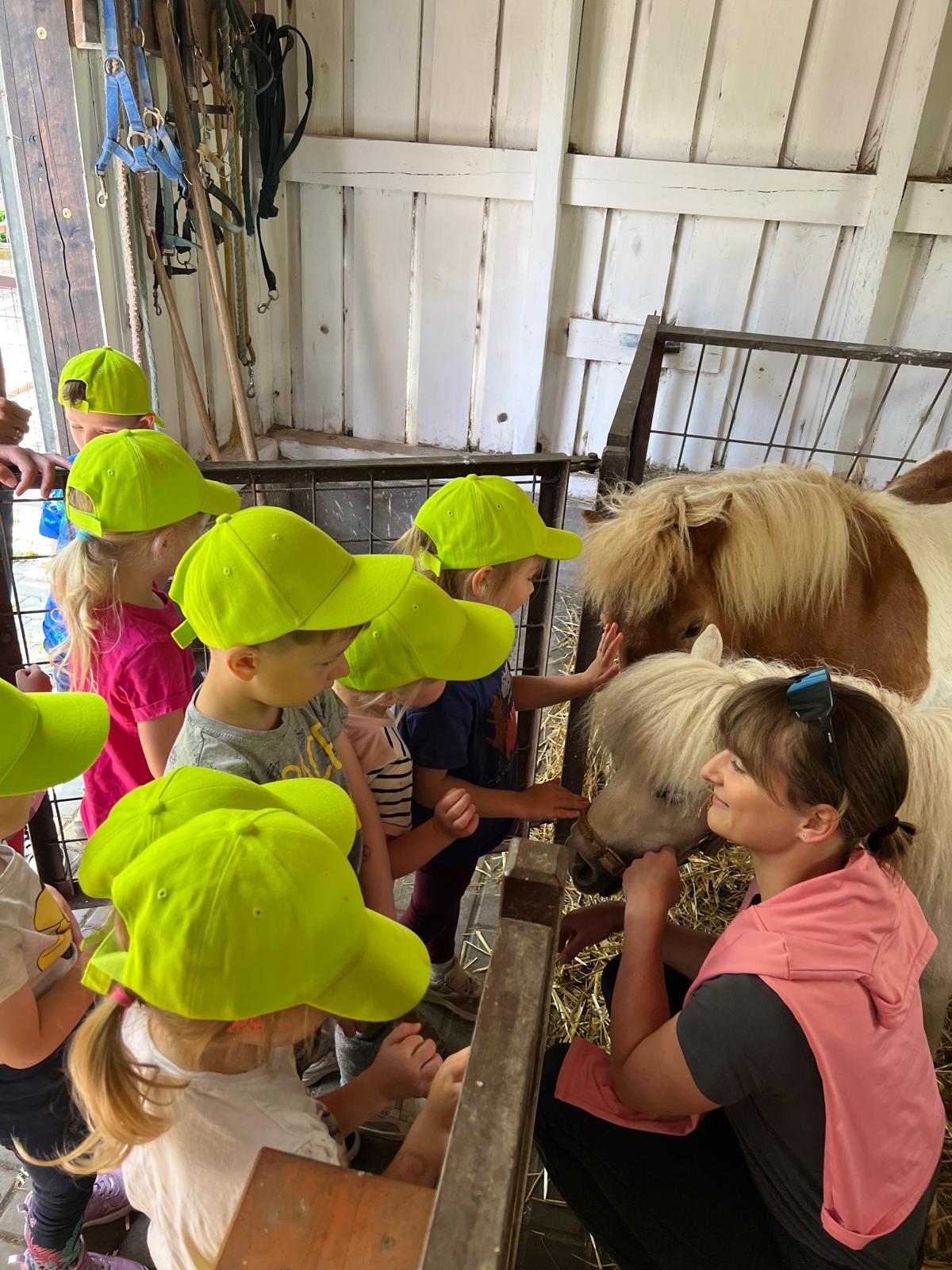 VÝLET NA BABIČČIN STATEK - 62