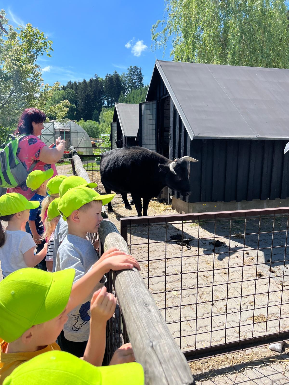 VÝLET NA BABIČČIN STATEK - 66