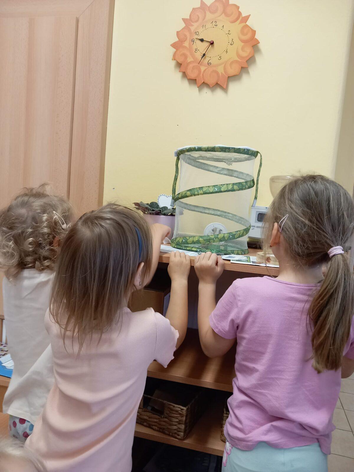 děti pozorovaly vývoj motýla... - 10