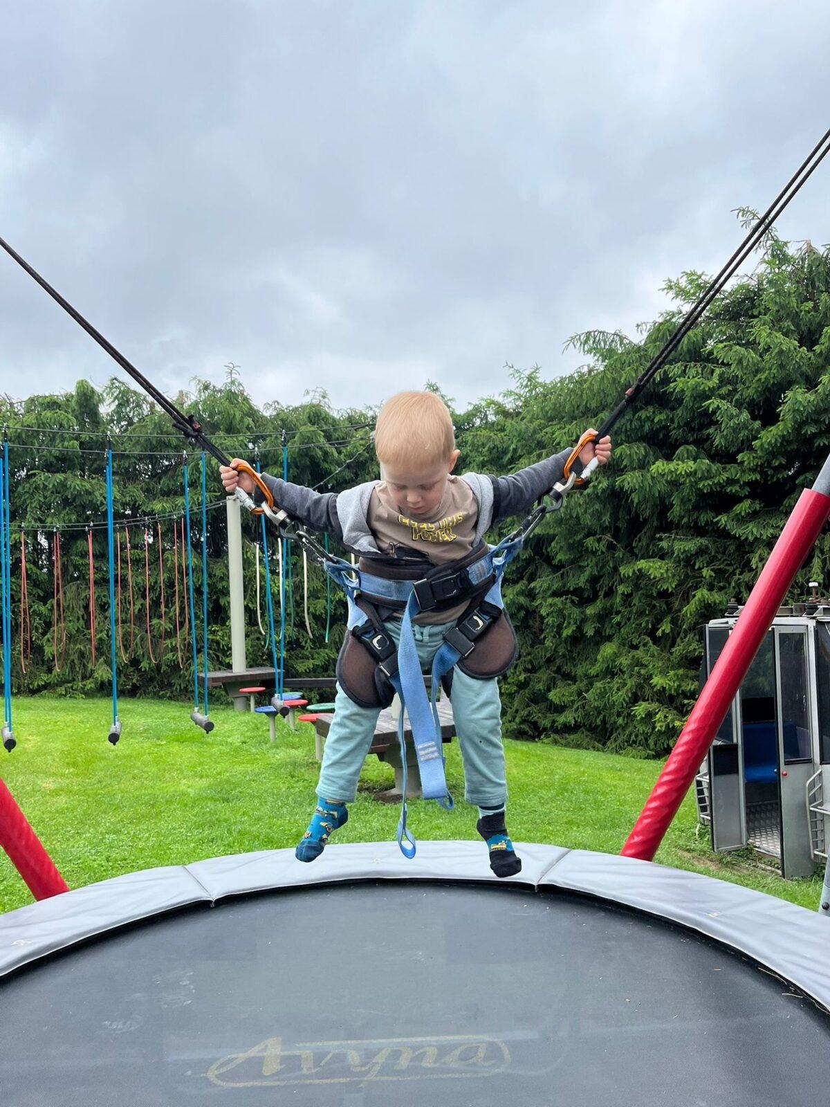 výlet - pinguin park - 26