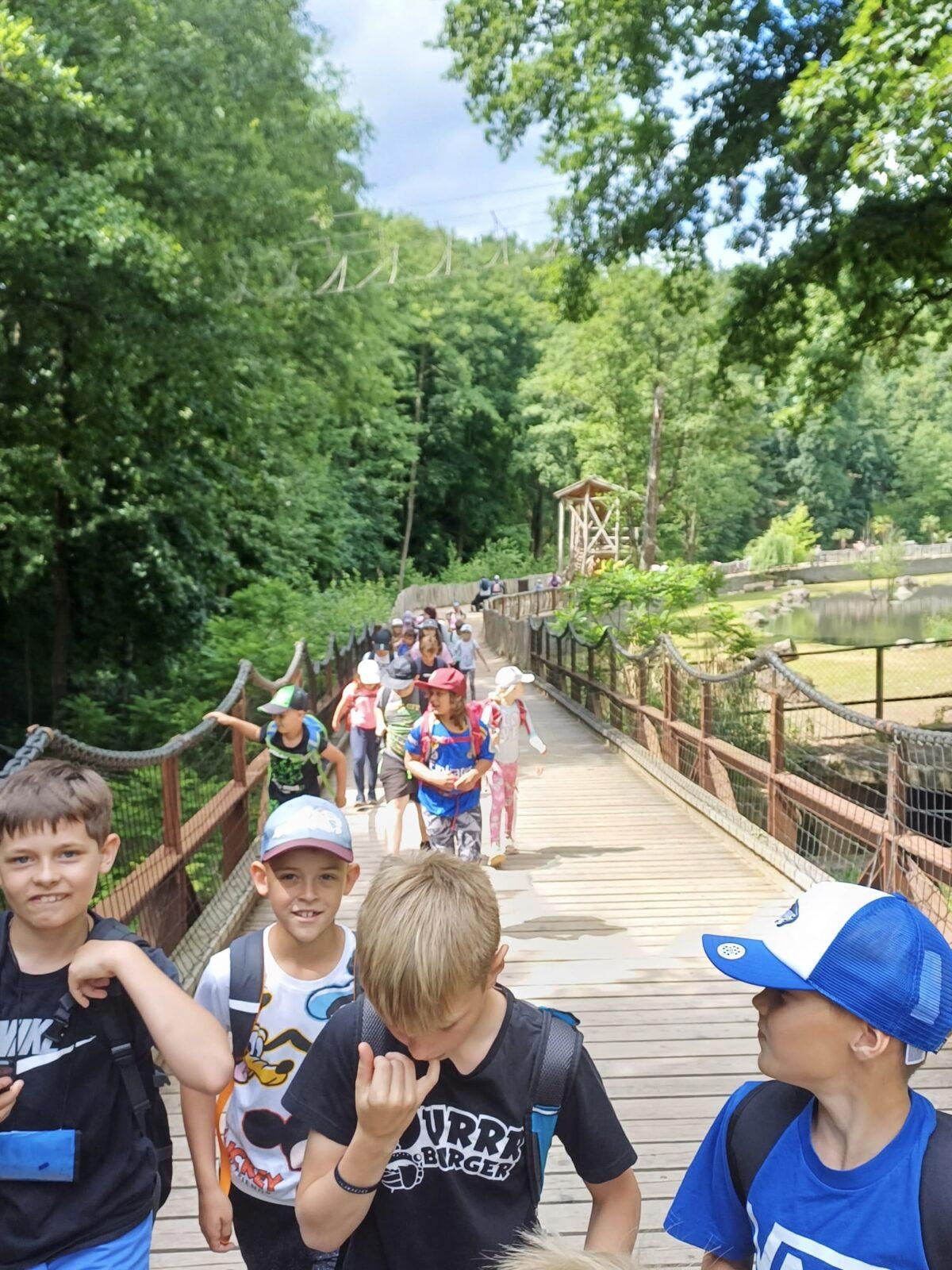 17. 6. Druháčci a třeťáčci v Safari Parku Dvůr Králové - 13