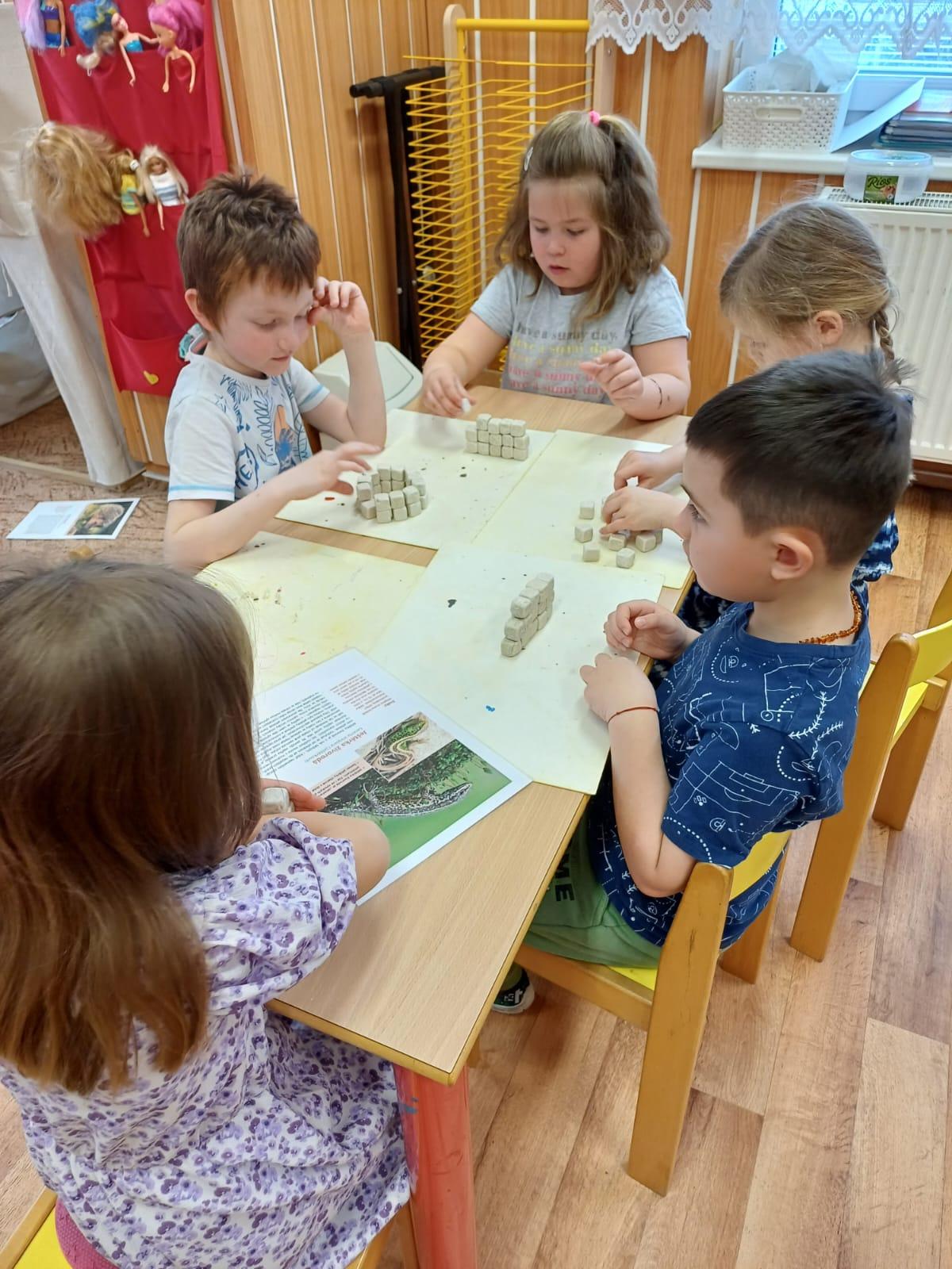 živá zahrada v naší školce - 18