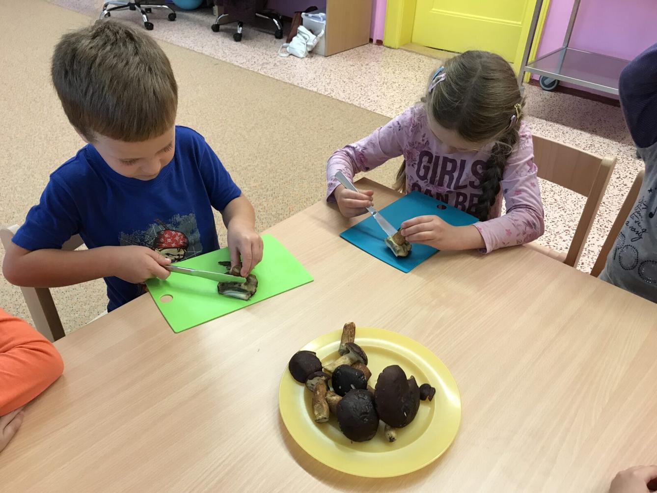 SOVIČKY: ,,LES" - 26