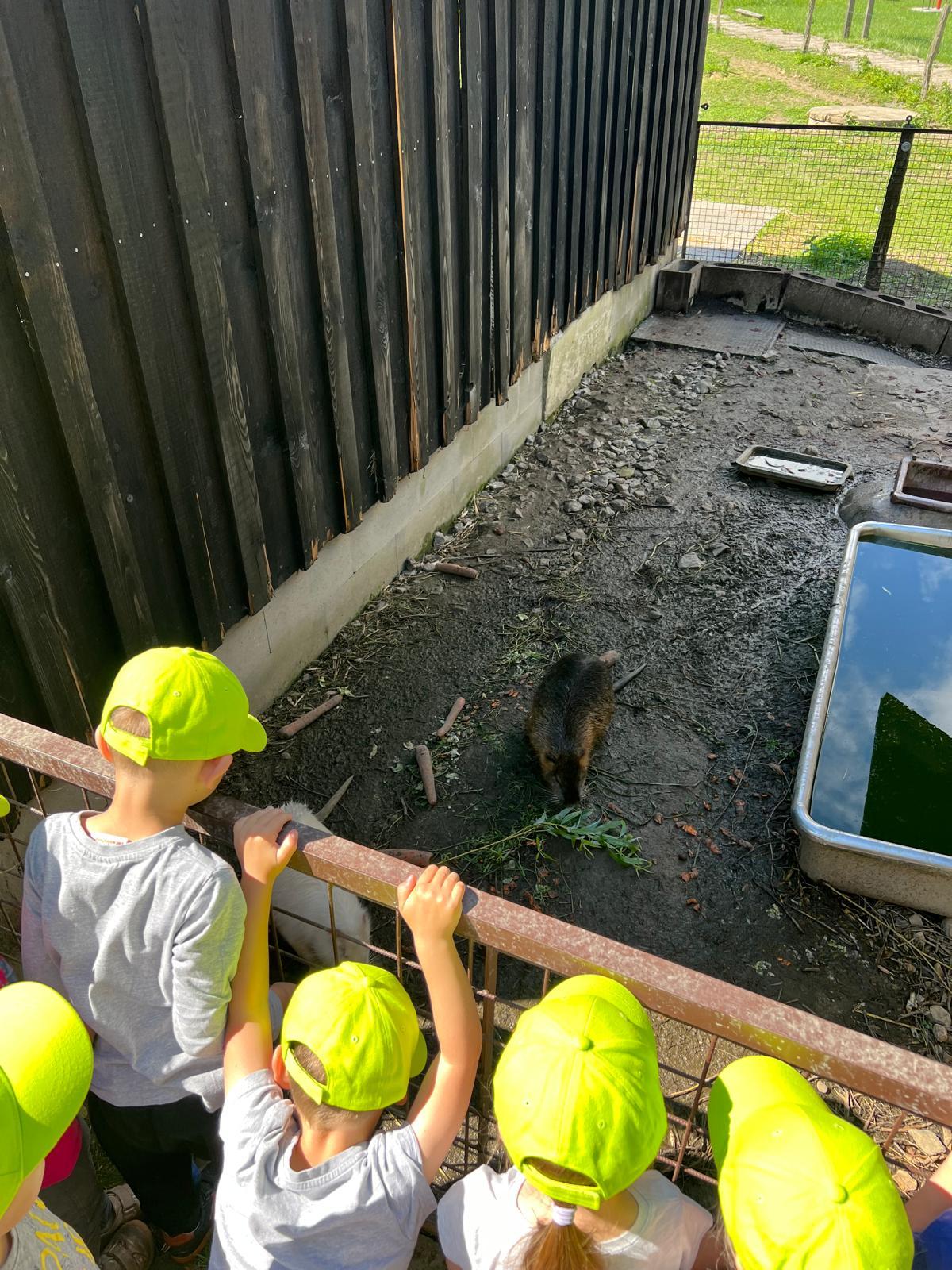 VÝLET NA BABIČČIN STATEK - 95