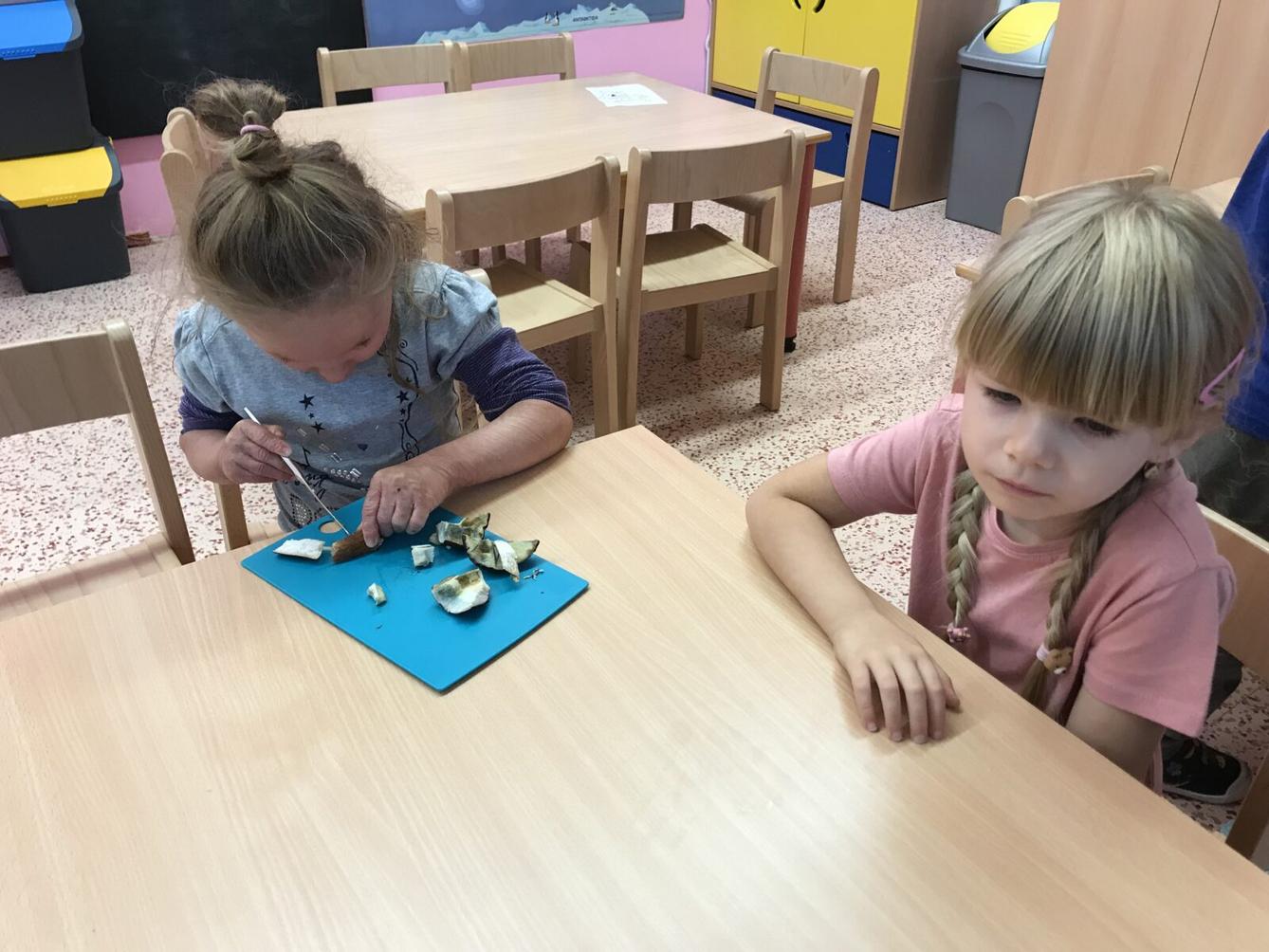 SOVIČKY: ,,LES" - 27