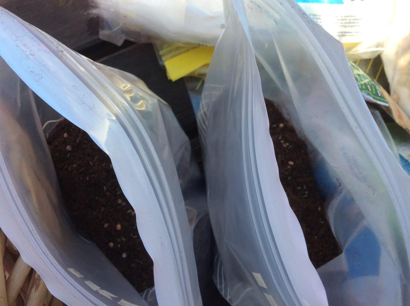 Ekohraní - den 4. - 6