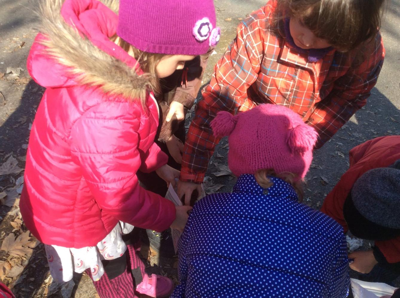 Ekohraní - den 4. - 11