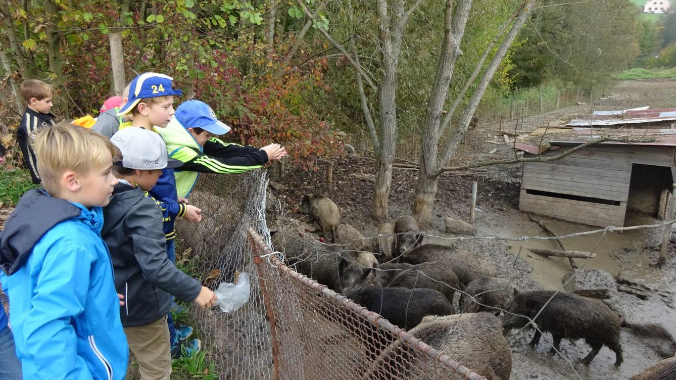 Říjen III.oddělení - 10