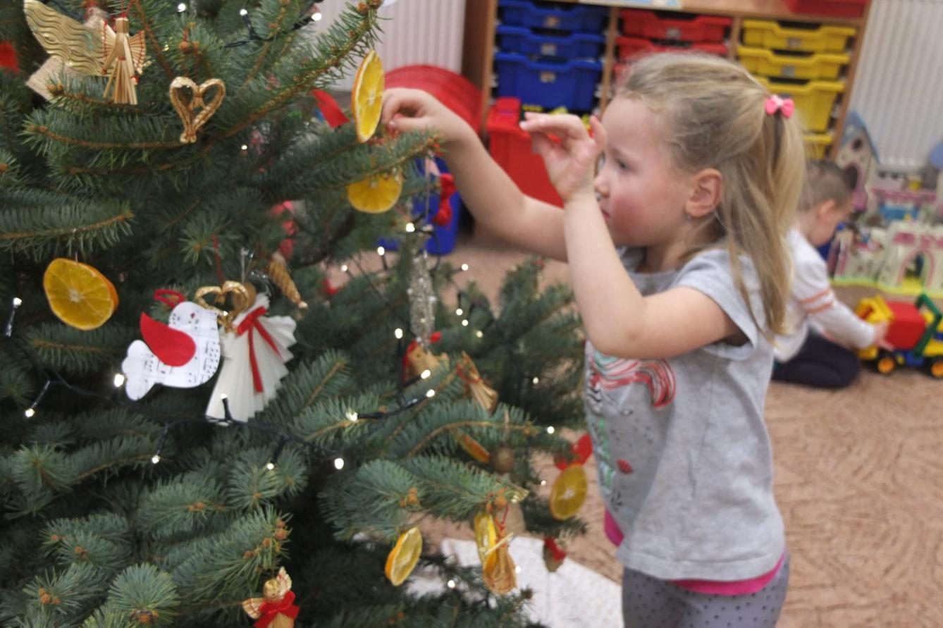 Strojení stromečku - 16