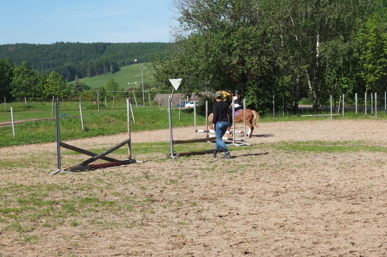 Na koních 2019 - 4
