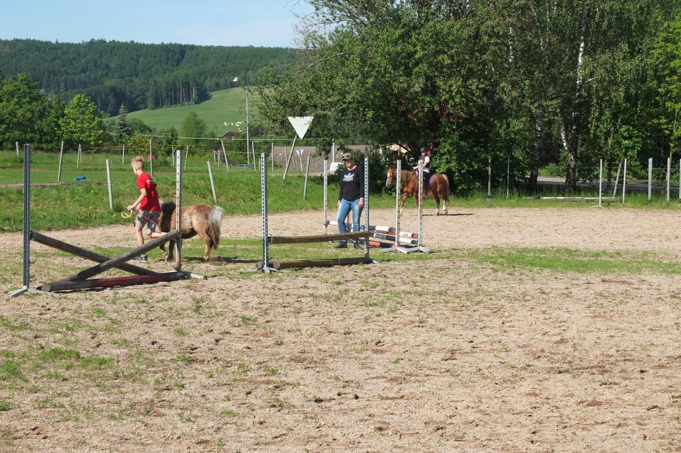 Na koních 2019 - 12