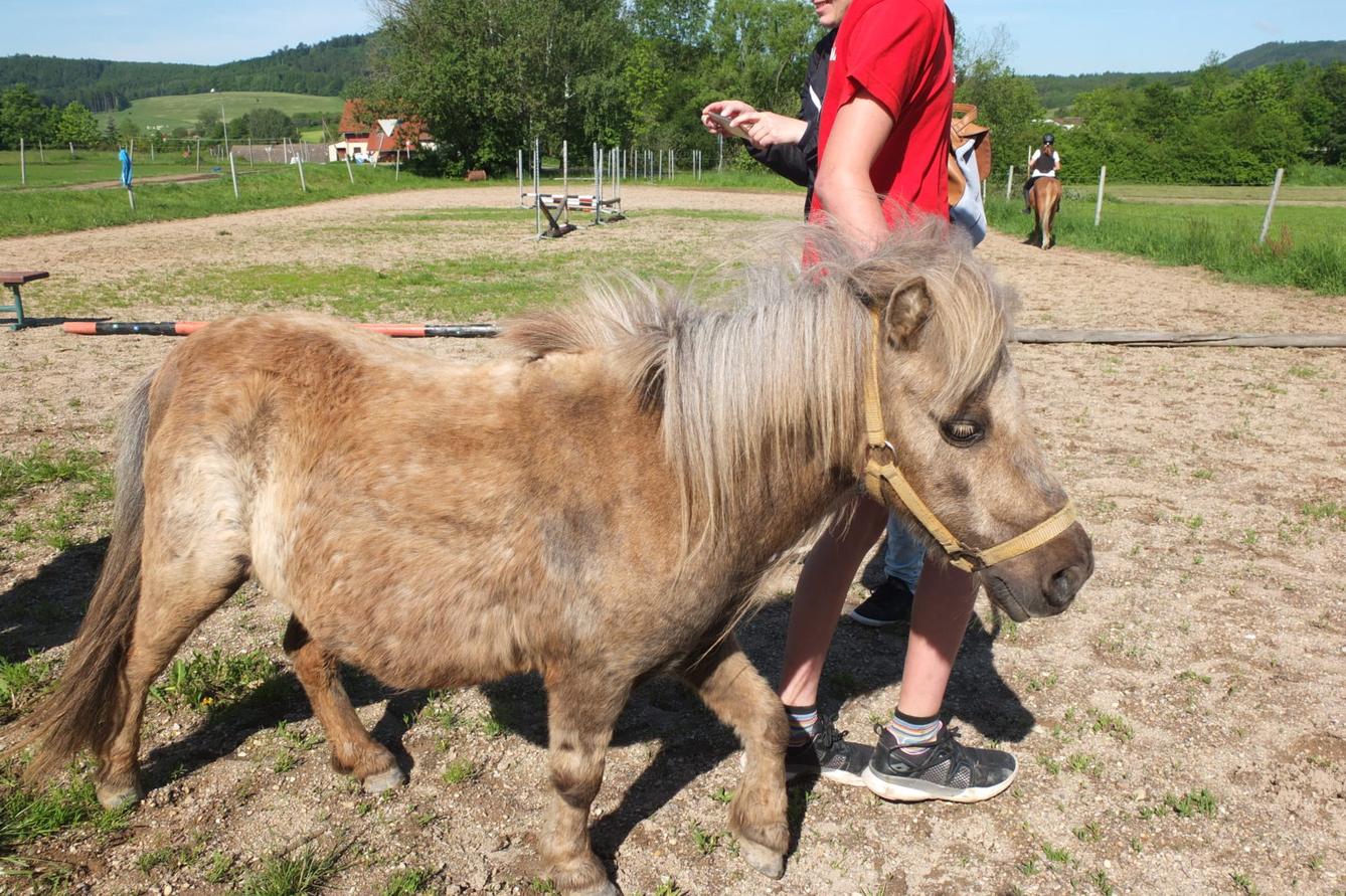 Na koních 2019 - 14