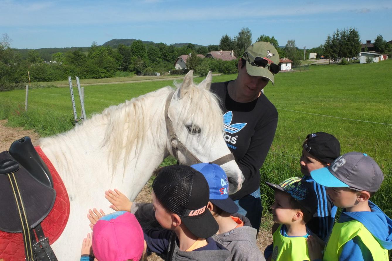 Na koních 2019 - 16