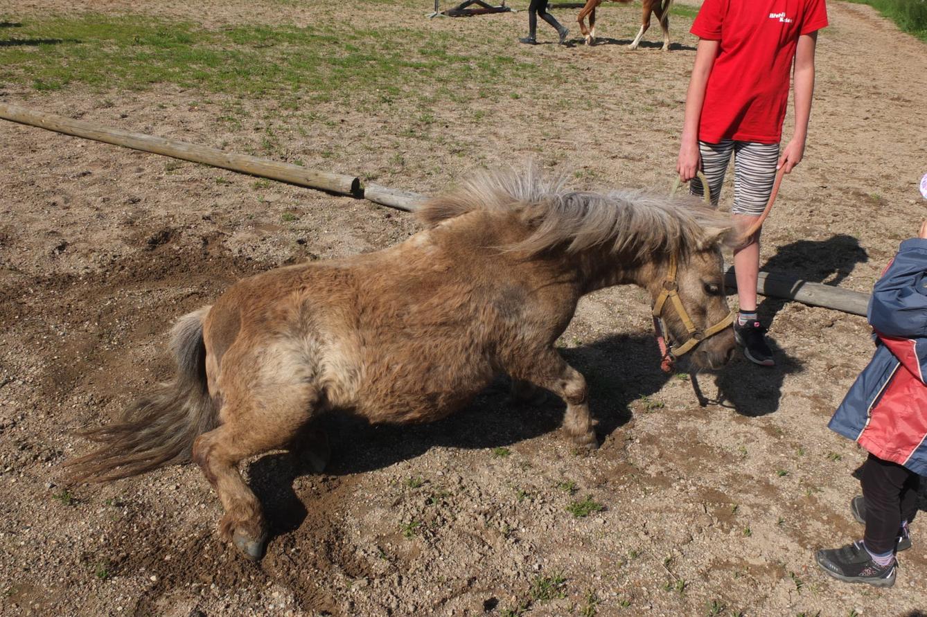 Na koních 2019 - 23
