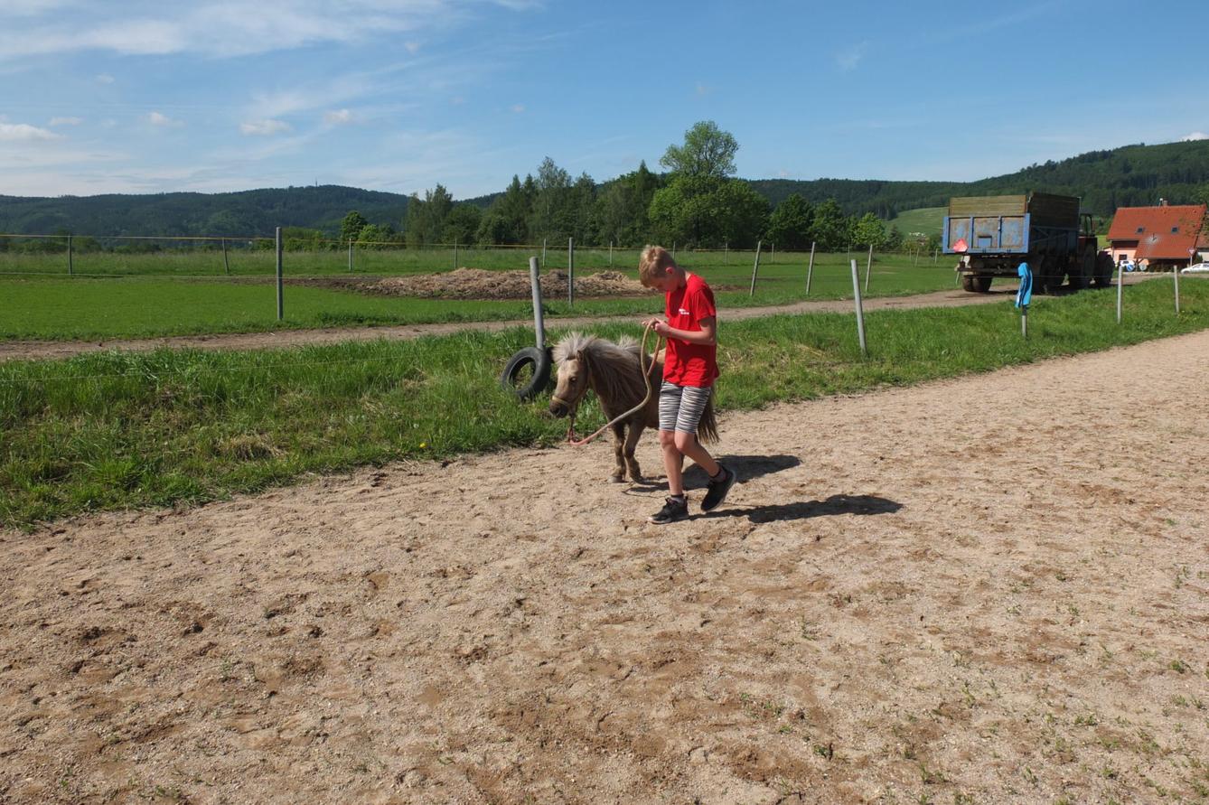 Na koních 2019 - 45