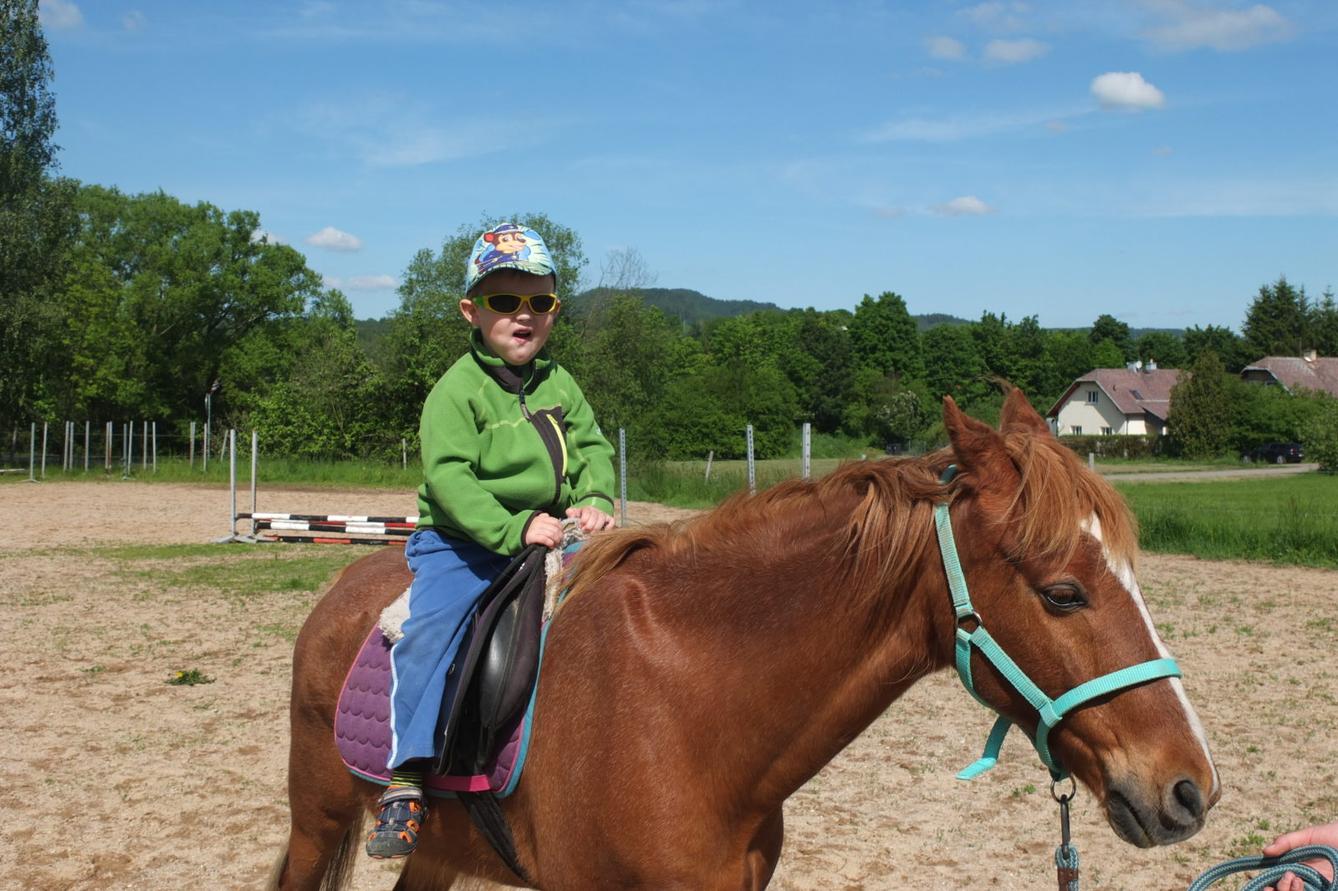 Na koních 2019 - 49