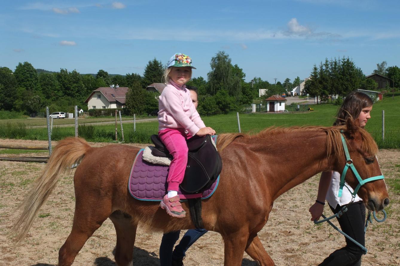 Na koních 2019 - 53