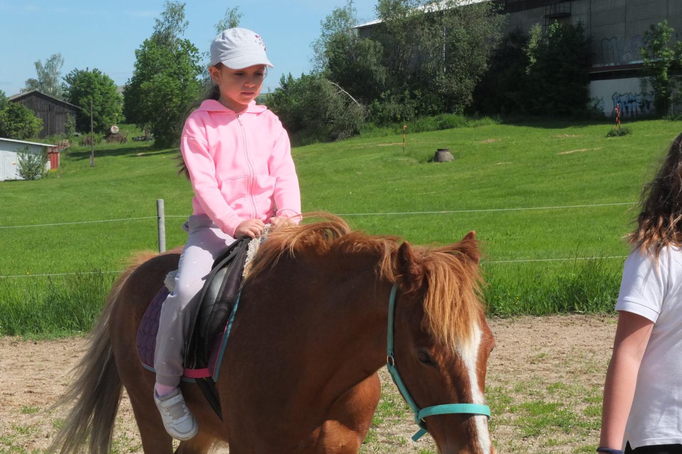 Na koních 2019 - 59