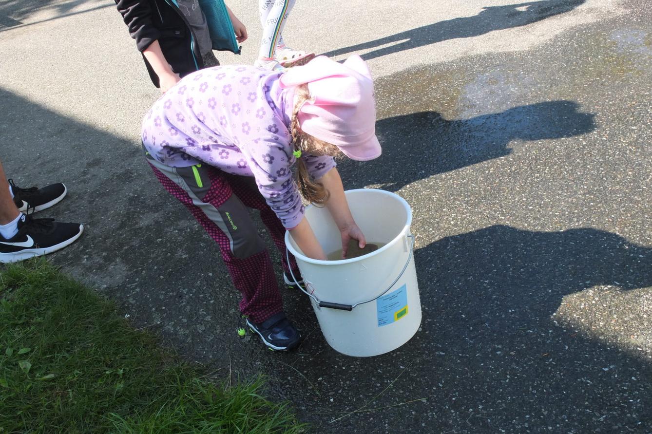 Hry s deváťáky - 11