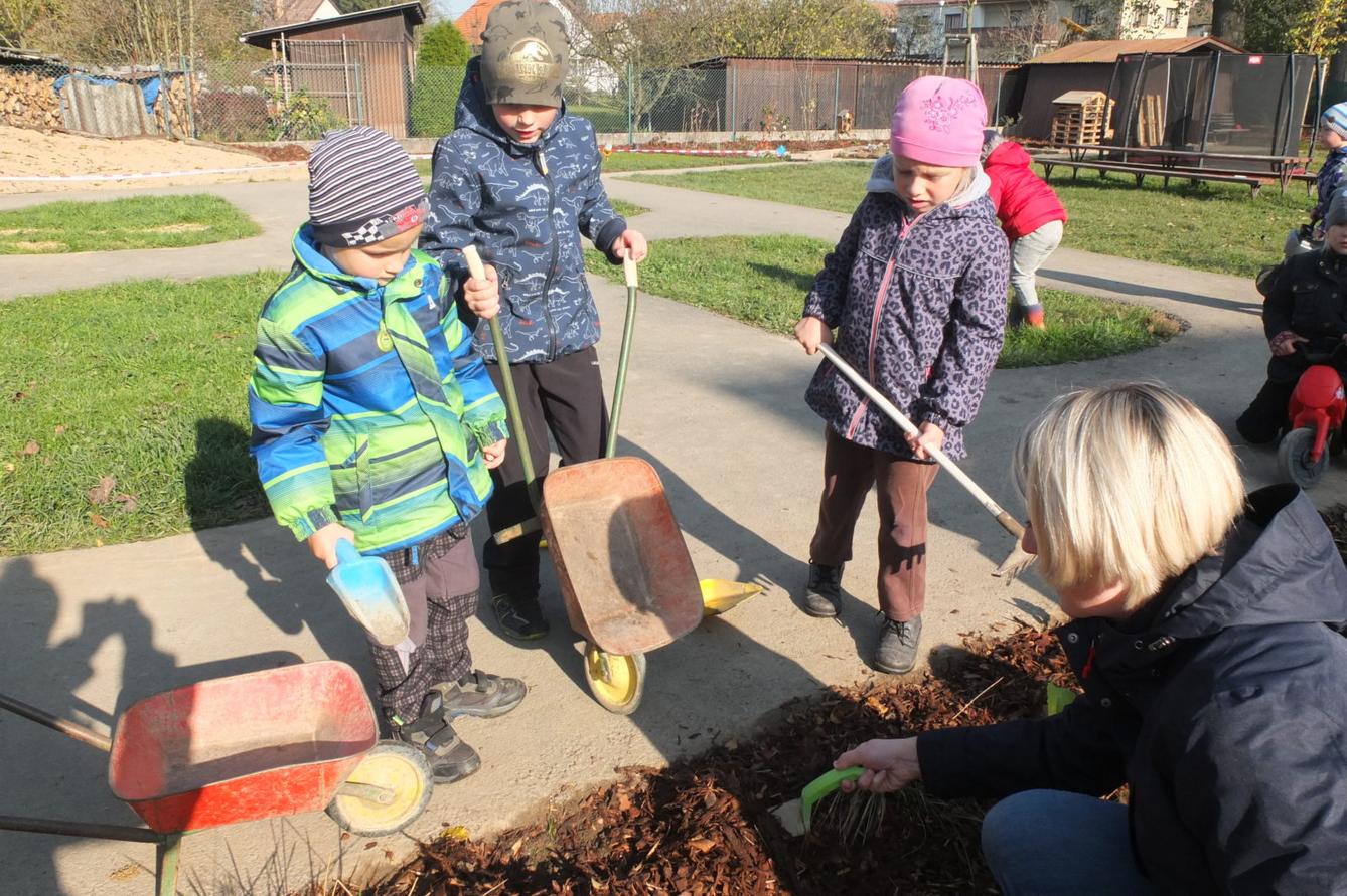 Sázíme bylinky na zahradě - 7